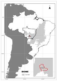 It is located near the geographical centre of brazil and forms the metropo. Map Of The Municipally Of Cuiaba In Mato Grosso State Brazil Within Download Scientific Diagram
