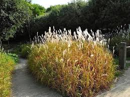Les Jardins En Mouvement Avec Images Jardins Types De Jardin Jardin Naturel