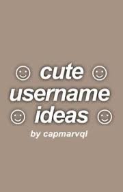 It's the first thing people will notice, so choose wisely to leave a good impression. Cute Username Ideas Aesthetic Usernames Usernames For Instagram Name For Instagram Cool Usernames For Instagram