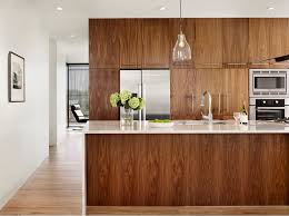 Custom modern nontoxic kitchen cabinetry is european inspired, american made. 5 Kitchen Design Ideas For Euro Cabinets Kitchen Cabinet Kings