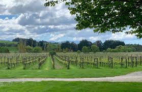 It was first identified in december 2019 in wuhan,. New Zealand S Rse Scheme Struggling Against Covid Devpolicy Blog From The Development Policy Centre