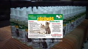 Pin Di Obat Kucing Flu
