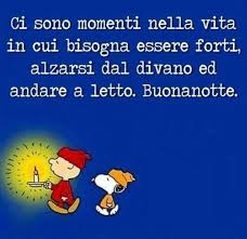 Le perle di Snoopy on Instagram | Citazioni divertenti, Buonanotte, Buona  notte divertente
