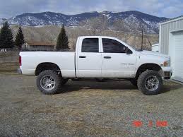 Debadging, should I leave any? | DodgeTalk Forum