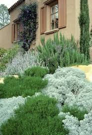 Bildergebnis Fur Mediterrane Bodendecker Mediterraner Garten