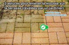 2 Astuces Pour Enlever La Mousse Sur La Terrasse Revelees Par Un Jardinier Nettoyage Terrasse Nettoyer Terrasse Terrasse