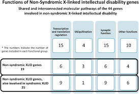 Non Syndromic X Linked Intellectual Disability Current Knowledge In Light Of The Recent Advances In Molecular And Functional Studies Tejada 2020 Clinical Genetics Wiley Online Library