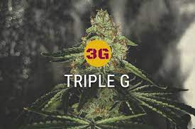 Interestingly, like gorilla, krazy, loctite, and some other brands, a brand named super glue also makes this type of glue. Triple G Gorilla Glue Trifft Auf Gelato 33 Rqs Blog
