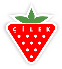 Cilek Genc Odasi Hakkinda Bilmeniz Gerekenler Mobilyanomi