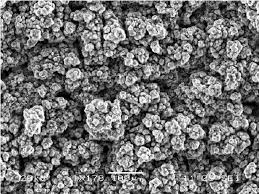 We did not find results for: Scanning Electron Microscope View Of The Aluminum Surface Exposed To Download Scientific Diagram