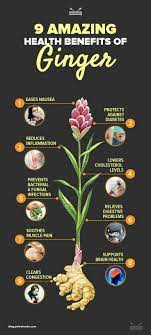 Pin By Elaine Trotman On Illness Health Ginger Benefits Health Benefits Of Ginger Health Benefits