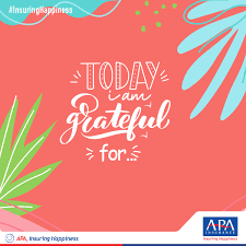 Our core programs are professional liability, directors and officers, and business office insurance coverage. Apa Insurance Ke On Twitter Gratitude Is A Must Sometimes We Tend To Overlook The Little Things That Give Us Joy Focus On Those That Are Challenging We At Apa Apollo