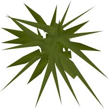 Weeds The Runescape Wiki Gray boulder, weed, weeds stones, stone, grass png. weeds the runescape wiki
