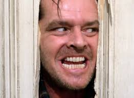 Her name is Layla, she goes through doors : r/parrots