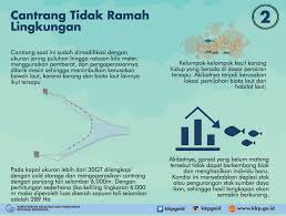 Dalam penangkapan ikan di laut diperlukan beberapa peralatan, diantaranya : Kenali Cantrang Alat Tangkap Ikan Yang Dilarang Bssn Go Id