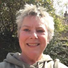 South Norfolk local election: The 9 candidates in Mulbarton & Stoke Holy  Cross