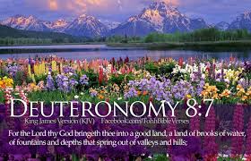 5 years ago 2 comments. Spring Bible Quotes Quotesgram