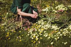 Seasons at the Secret Garden: Herbal workshops