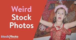 Stock images stock photos weird weird stock photos shitpost alamy stock photo teddy bear knife girl. Weird Stock Photos And Where To Find Them 6 Weird Images Inside Stock Photo Secrets