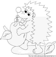 Malvorlage igel pdf malvorlagen kinder igel coloring and malvorlagan. Igel 32 Ausmalbilder Kostenlos Zum Ausdrucken