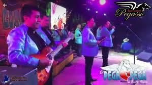 EL PEGA PEGA DE EMILIO REYNA