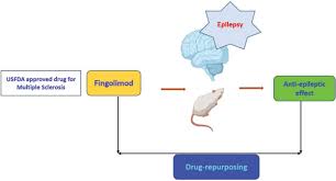 4th floor, wisma genting, jalan sultan. From The Molecular Mechanism To Pre Clinical Results Anti Epileptic Effects Of Fingolimod Bentham Science