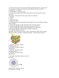 Memperluas daerah penyerapan air dan unsur hara dari tanah b. Smt1 Smp 8 Bab 4