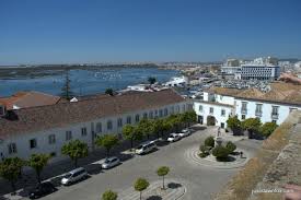 Image result for Faroa duvigneaud