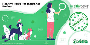 It's important you get the facts so you can make the best decision for you and your pet. Healthy Paws Pet Insurance Review We Re All About Pets
