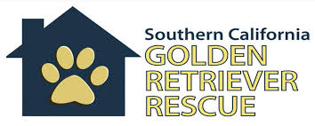 Southern california golden retriever rescue's adoption process. Southern California Golden Retriever Rescue Guidestar Profile