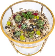 5.0 out of 5 stars. Amazon Com Round Terrarium Display End Table With Reinforced Glass In Gold Iron 20 Diameter 26 5 Height Great Indoor Decor For Any Home Or Office Diy Garden For Fern Moss Succulents Holiday Wedding
