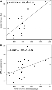 A relationship that makes you feel violated isn't ___. Demography And Foraging Ecology Of Chelonia Mydas On Tropical Shallow Reefs In Bahia Brazil Journal Of The Marine Biological Association Of The United Kingdom Cambridge Core