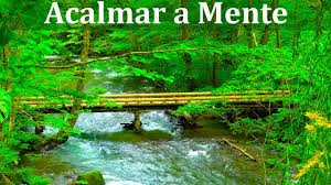 Clique aqui para saber mais. Musica Para Meditar E Relaxar Com Sons De Riacho E Natureza Acalmar Os Pensamentos Youtube