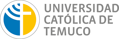 Describe tendencias de promedio de riesgo anuales observadas en esta marca. Universidad Catolica De Temuco Wikipedia