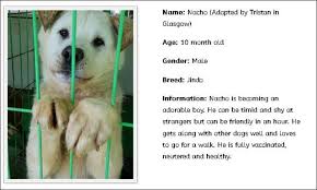 We are also proud of our free tools including a pet meme generator and a pet name generator. Save Korean Dogs From The Dog Meat Trade Webnuggetz Com Webnuggetz Com
