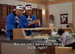 Joke4fun Memes Sushi Cat