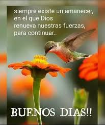 Pin De Rosa Diaz En Buenos Dias Buenos Dias Familia Hermosa Buenos Dias Frases Lindas Fotos Buenos Dias