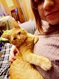 FOUND!! Sunny is back homee thank goodness 🫶🏼 appreciate everyone's  help!! Around 1st and Eddy