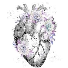 While it is normally related to romantic love, it is certainly not restricted to it and it may also represent love for family or friends. Human Heart Anatomical Heart Tattoo Anatomical Heart Art Human Heart Art