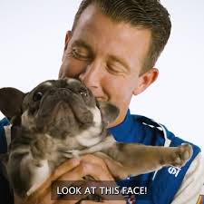 AJ Allmendinger introduces world to Xena, his bulldog