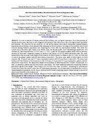 Pdf The Normal Fetal Kidney Measurement In In Normal