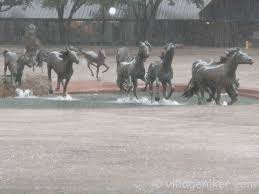 Fort worth water gardens, fort worth, tx. Mustangs Of Las Colinas In Rain