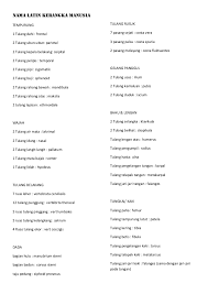 Check spelling or type a new query. Nama Latin Kerangka Manusia