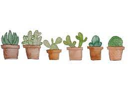 Pin By Marian Martin On Plants Cute Laptop Wallpaper Tumblr Computer Backgrounds Laptop Wallpaper
