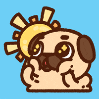 Global news is excited to announce the 2nd annual dog days of summer is going virtual! Dog Days Of Summer Gifs Get The Best Gif On Giphy
