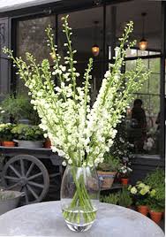 Maybe you would like to learn more about one of these? How To Arrange Flowers In A Vase Goop Tall Flower Arrangements Tall Floral Arrangements Tall Vase Arrangements
