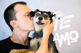 Estopinha, a primeira pet influencer do Brasil morre aos 14 anos