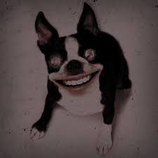 You had always loved animals. 9 Demon Dogs That Want To Haunt Your Dreams And Eat Your Soul