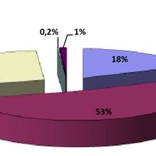 Siiir sistemul informatic integrat al invăţămantului din romania. Pdf Raport Privind Starea InvÄÈÄmantului Preuniversitar Din Romania