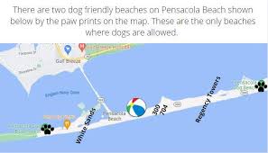 Image result for Regency R 804